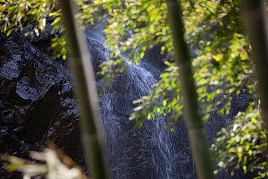 《命运2》频繁出现停机问题 Bungie出面解释原因